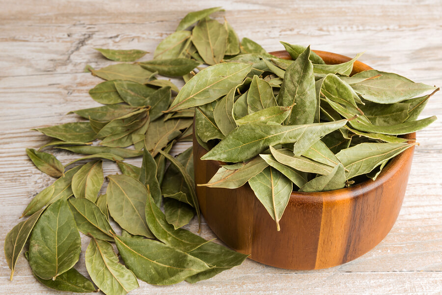 Bay_Leaves_img5