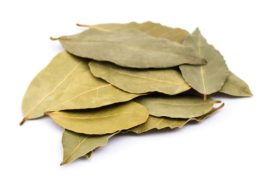 Bay_Leaves_img6