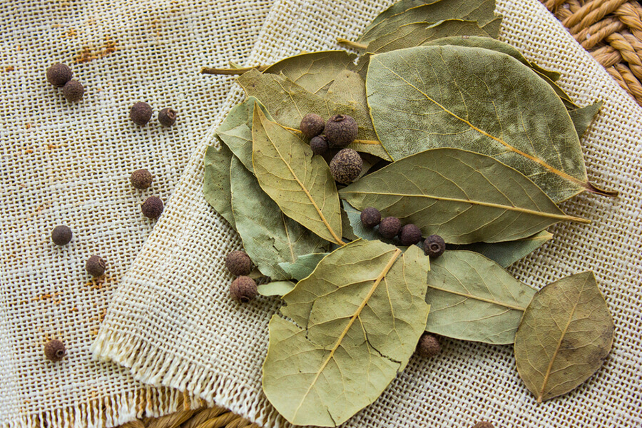 Bay_Leaves_img7