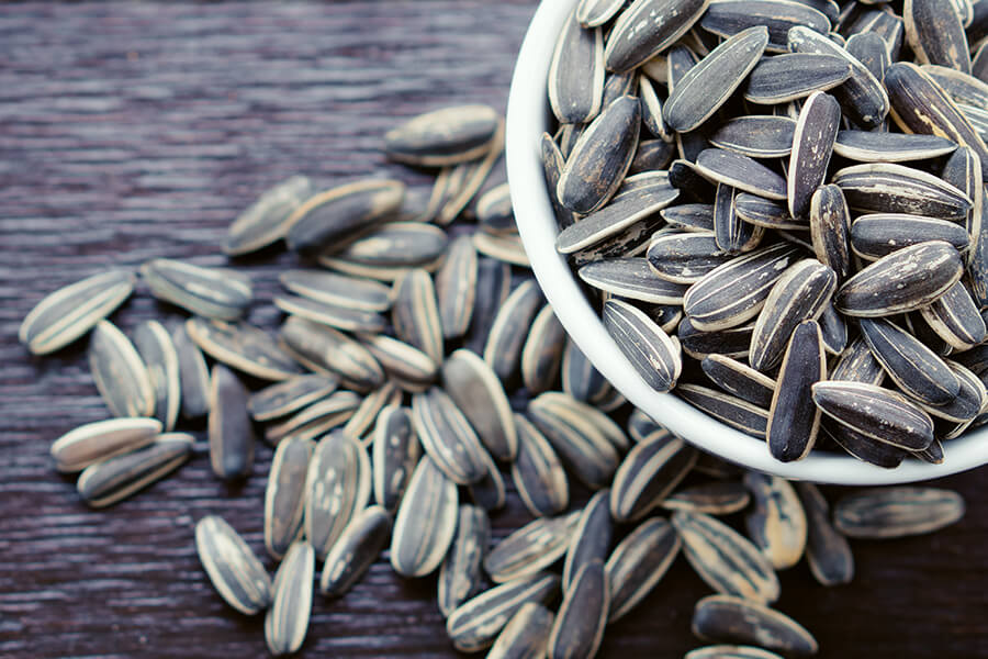 Sunflower_Seeds_1