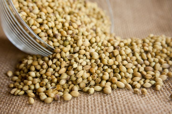 coriander-166990__480