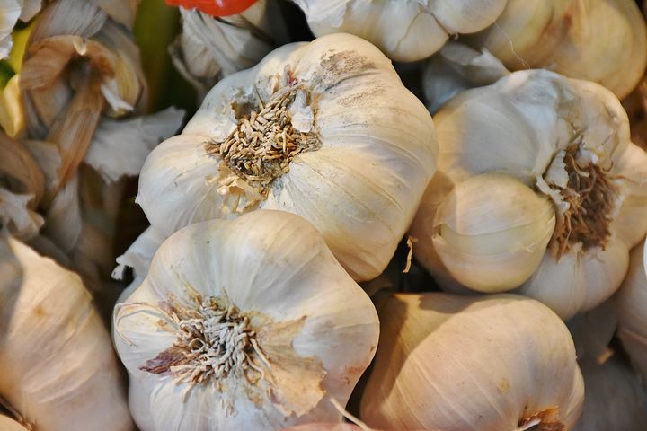 garlic-3126253__480