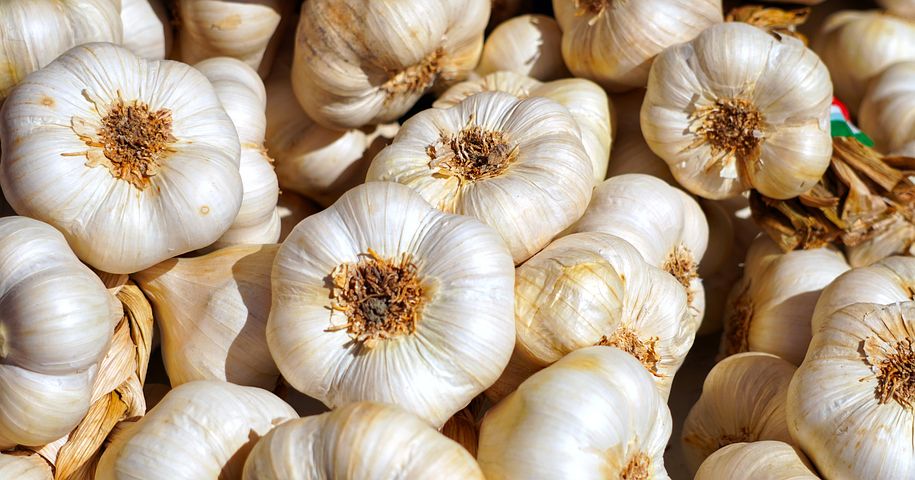 garlic-4461533__480