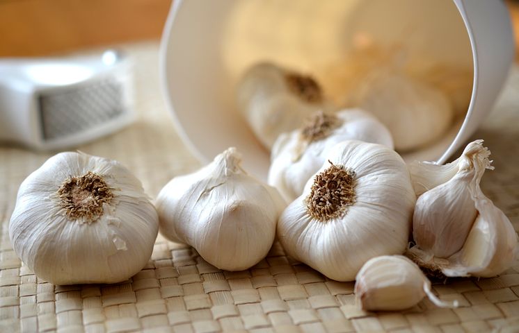 garlic-545223__480