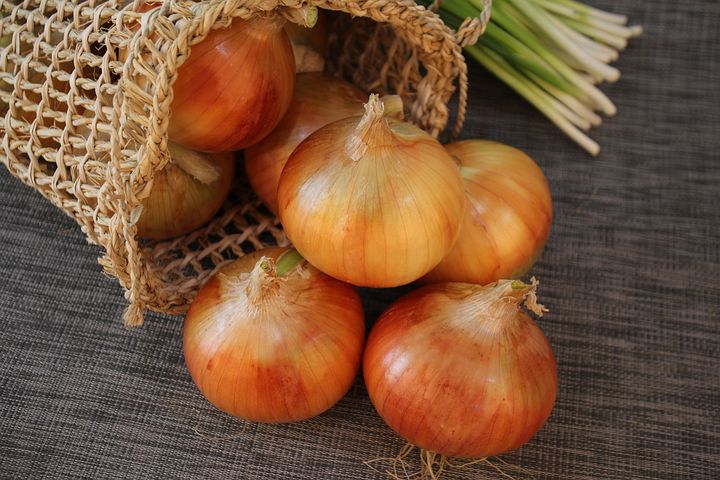 onion-2404583__480