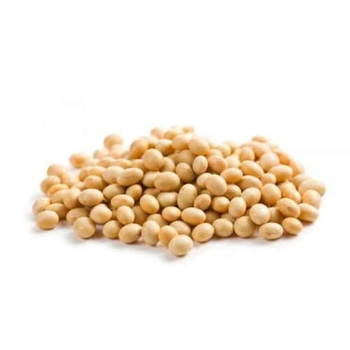 soyabean