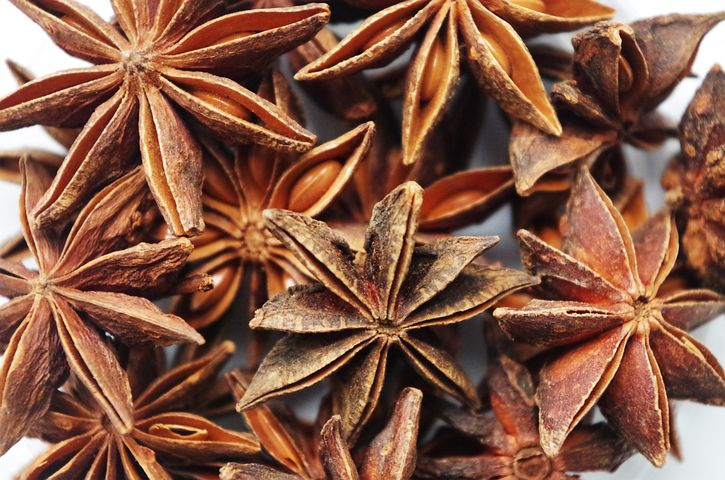 star-anise-1049573__480