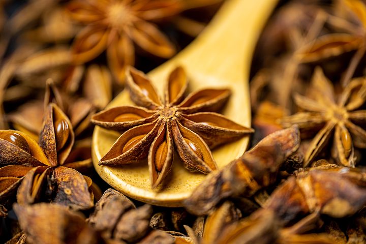 star-anise-4680709__480