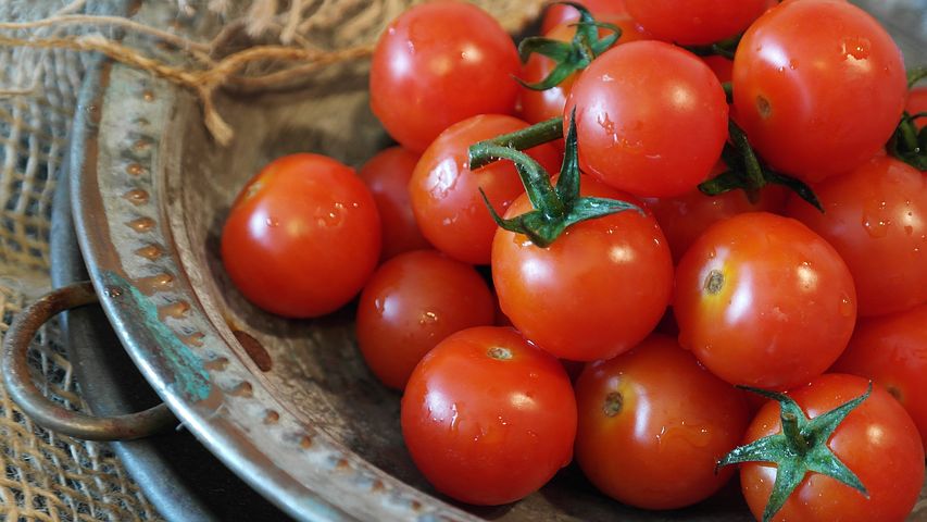 tomatoes-2559809__480