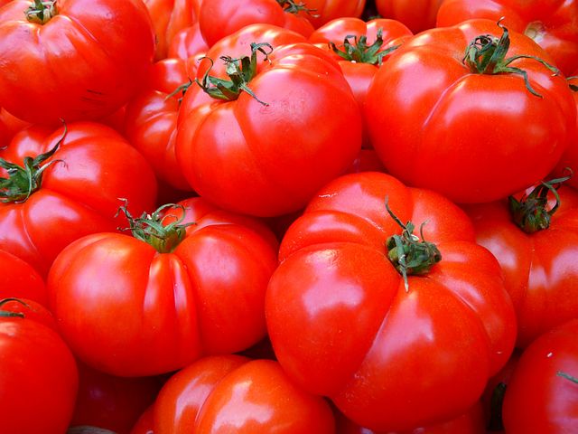 tomatoes-5356__480